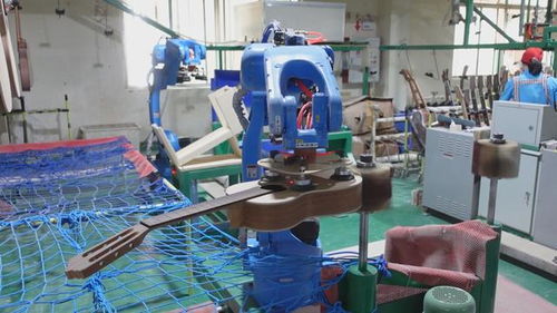 匠心筑夢南靖 打造全球尤克里里單項產(chǎn)品產(chǎn)值冠軍的樂器王國